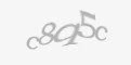 Защитный код