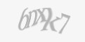 Защитный код